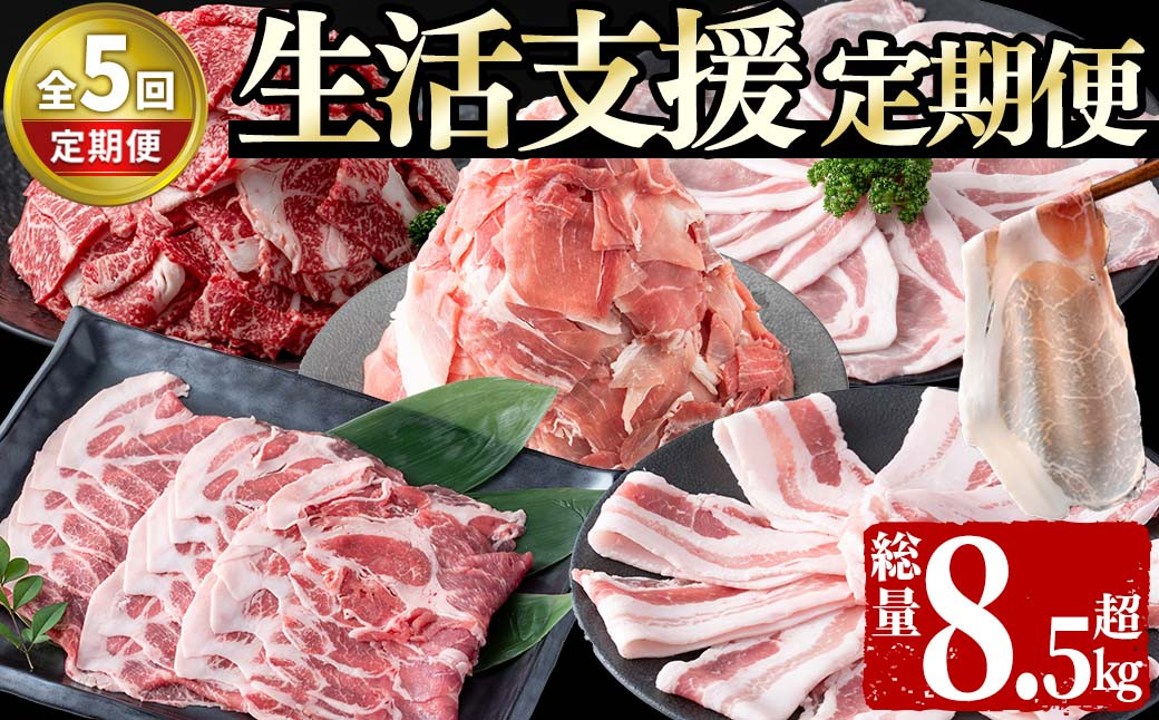 【定期便全5回】生活支援定期便(5ヶ月連続・総量8.5kg以上) t0061-002