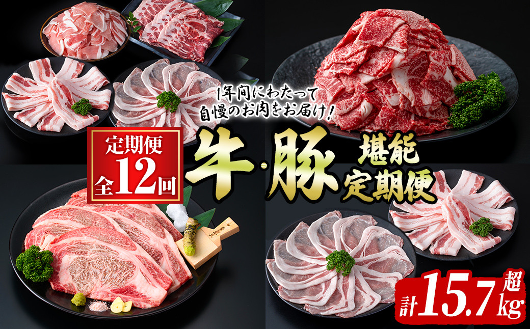 【定期便全12回】牛・豚堪能定期便(12ヶ月連続・計15.7kg超) t0194-002