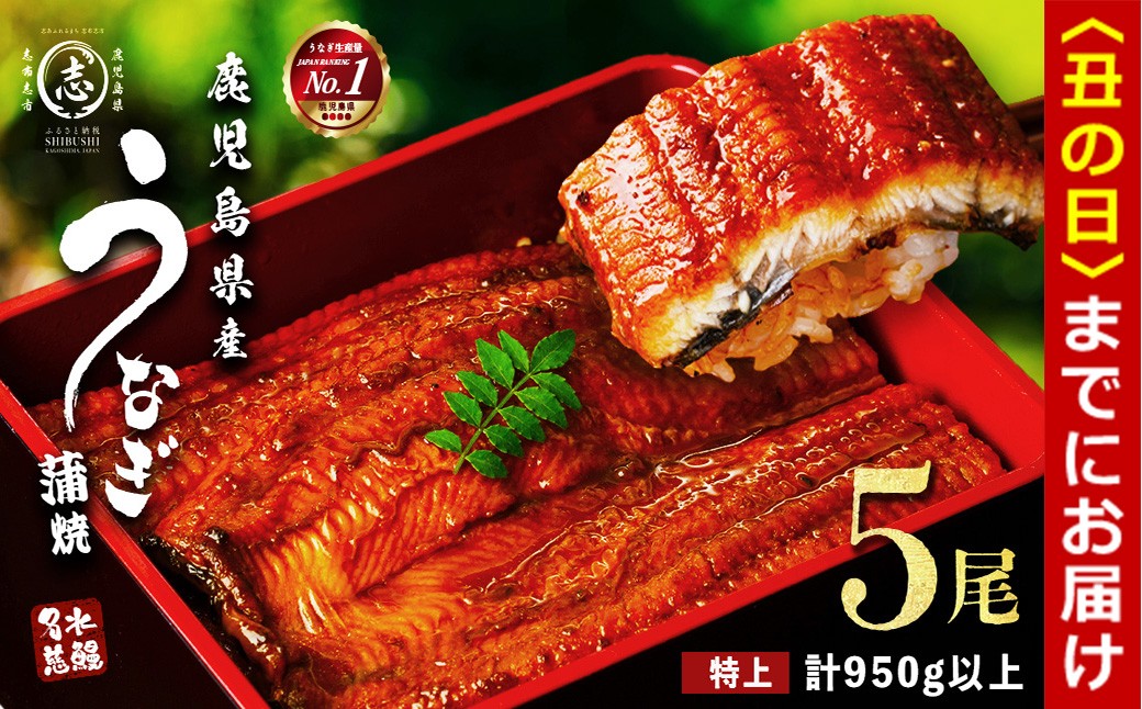 【丑の日までに配送】鹿児島県産うなぎ蒲焼 名水慈鰻 特上5尾(1尾190g以上)＜計950g以上＞ うなぎ 鰻 ウナギ 5尾 国産 九州産 蒲焼き かばやき 冷凍 うな重 ひつまぶし タレ 山椒 ランキング 人気 c15-001-us