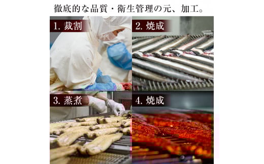 鮖ソ蜈仙ウカ逵檎肇縺縺ェ縺手調辟シ 蜷肴ーエ諷磯ーサ 20蟆セ(1蟆セ邏160g)シ懆ィ育エ3.2kgシ wa4-001