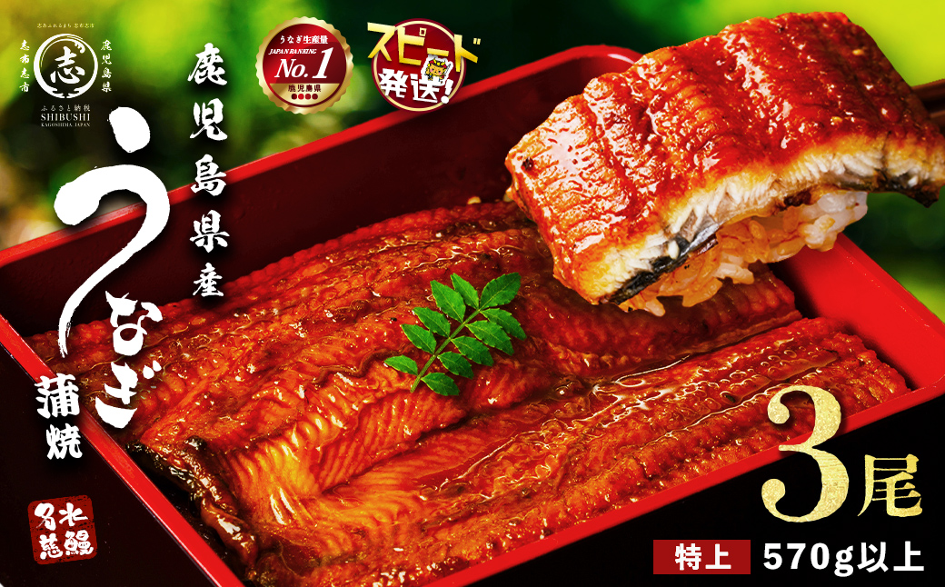 鹿児島県産うなぎ蒲焼 名水慈鰻 特上3尾(1尾190g以上)＜計570g以上＞　うなぎ 鰻 ウナギ 3尾 国産 蒲焼 かばやき 冷凍 真空 真空パック 無頭 うな重 ひつまぶし タレ 山椒 b1-023
