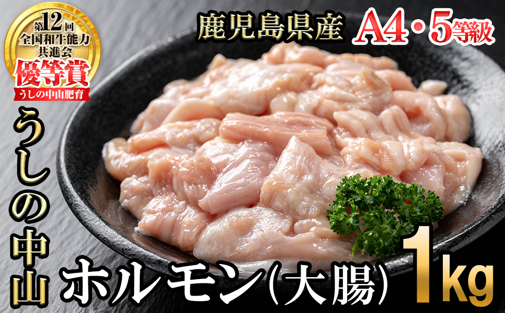 うしの中山 A4・A5等級黒毛和牛 ホルモン（大腸） 計1kg（500g×2袋）a5-347