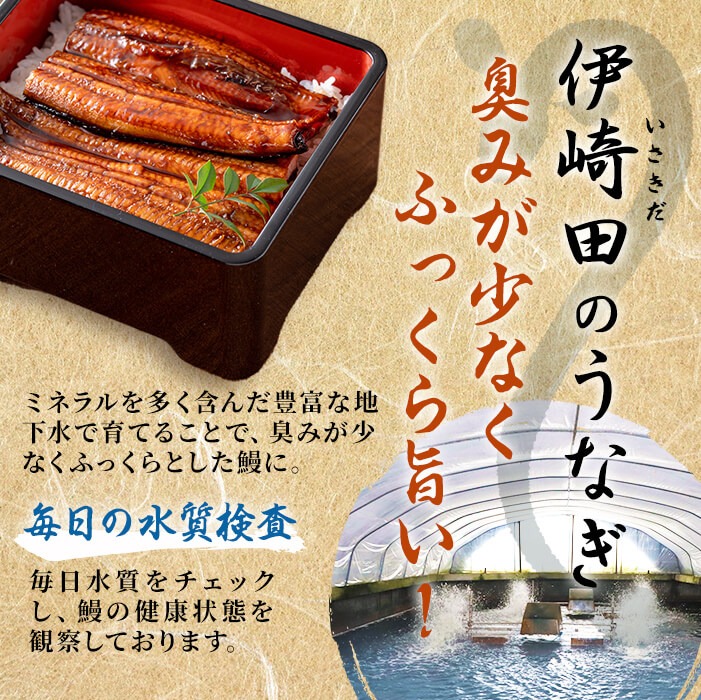 鹿児島県産 伊崎田のうなぎ蒲焼刻みうなぎ 50g×15袋(計750g) 鰻 うなぎ ウナギ きざみ鰻 刻みうなぎ 刻み鰻 蒲焼き かばやき 国産 九州産 鹿児島県産 冷凍 レンジ 簡単 うな丼 ひつまぶし 惣菜 おかず 小分け b7-027