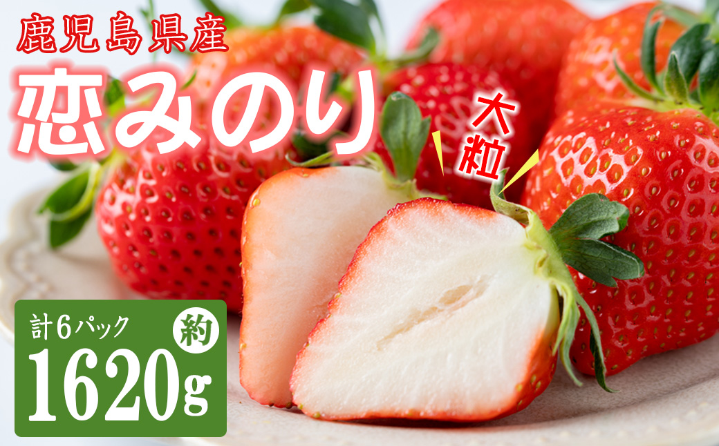 【数量限定】鹿児島県産朝採れイチゴ「恋みのり」約1620g(約270g×6パック) a3-241