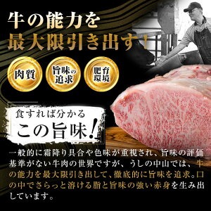 鹿児島県産黒毛和牛すき焼き肉霜降り薄切り肉(2人前400g/400g×1P) 黒毛和牛 和牛 牛肉 国産 日本一 スライス すき焼き しゃぶしゃぶ 薄切り 霜降り 贈答 冷凍 b5-193