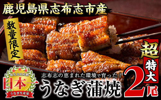 【数量限定】うなぎの大楠＜超特大＞2尾セット計380g以上(190g×2) a7-002
