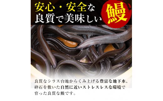 鹿児島県産うなぎ蒲焼 名水慈鰻 40尾(1尾約160g)+きざみ鰻20袋(1袋約50g)＜合計約7.4kg＞ wb82-001