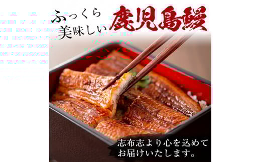 【訳あり・数量限定】復活！不揃いのうなぎ達 計800g以上(鹿児島県産 鰻の蒲焼き)　うなぎ 鰻 ウナギ 不揃い ふぞろい 訳アリ 国産 九州産 蒲焼 蒲焼き かばやき 冷凍 うな重 ひつまぶし 人気 b2-040