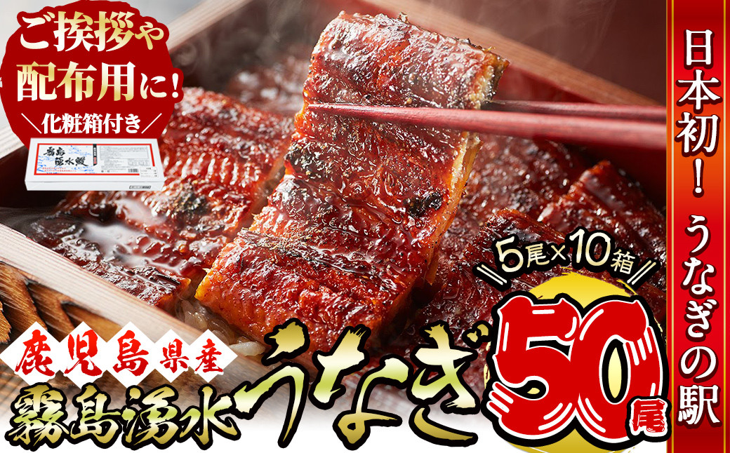 【数量限定】【化粧箱10箱】ご挨拶・配布用にも！鹿児島県産 山田水産の霧島湧水鰻＜計50尾(5尾×10箱)/計8kg(1尾あたり160g)＞ wc5-002
