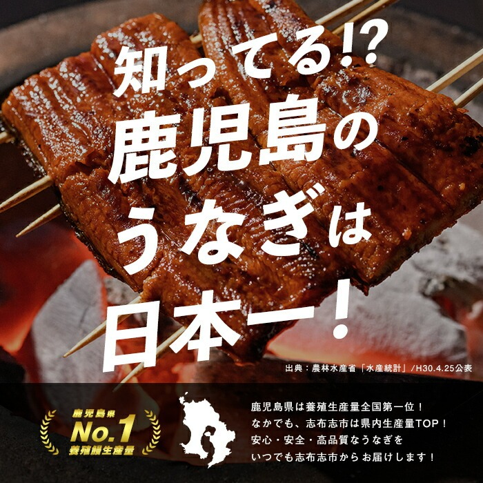 【10営業日以内に発送】鹿児島県産うなぎ蒲焼 名水慈鰻 3尾＜計480g以上＞ うなぎ 鰻 ウナギ 3尾 国産 蒲焼 かばやき 冷凍 真空 真空パック 無頭 うな重 ひつまぶし タレ 山椒 a8-090
