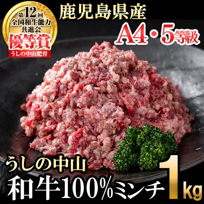 和牛100%ミンチ1kg(500g×2袋) a1-132