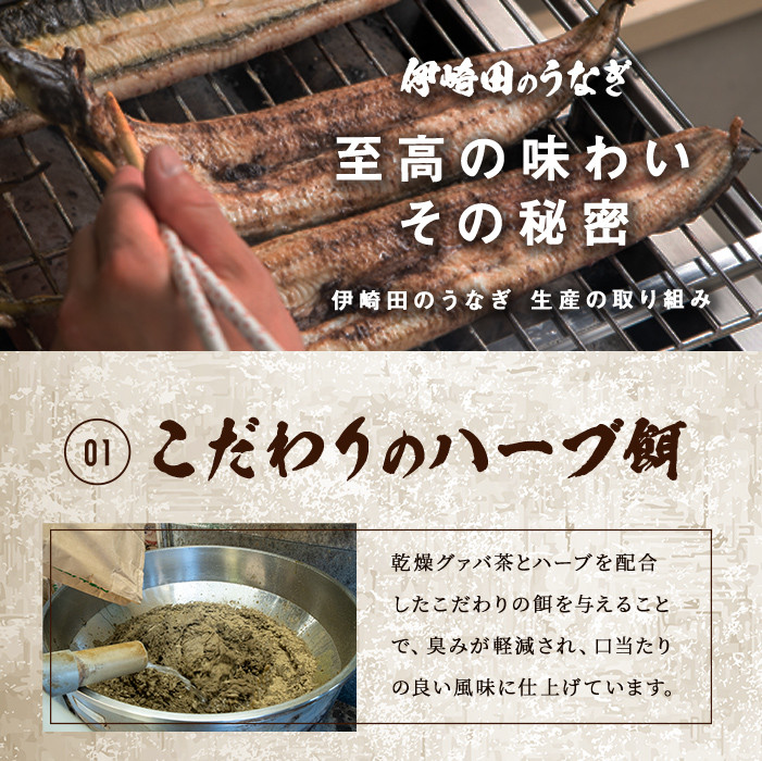 ãã®ãã察å¿ããæ°ééå®ã鹿å
å³¶çç£ äŒåŽç°ã®ããªãè²çŒ äžïŒ150g以äžïŒÃ 3å°Ÿ(èš450g以äž) b5-185