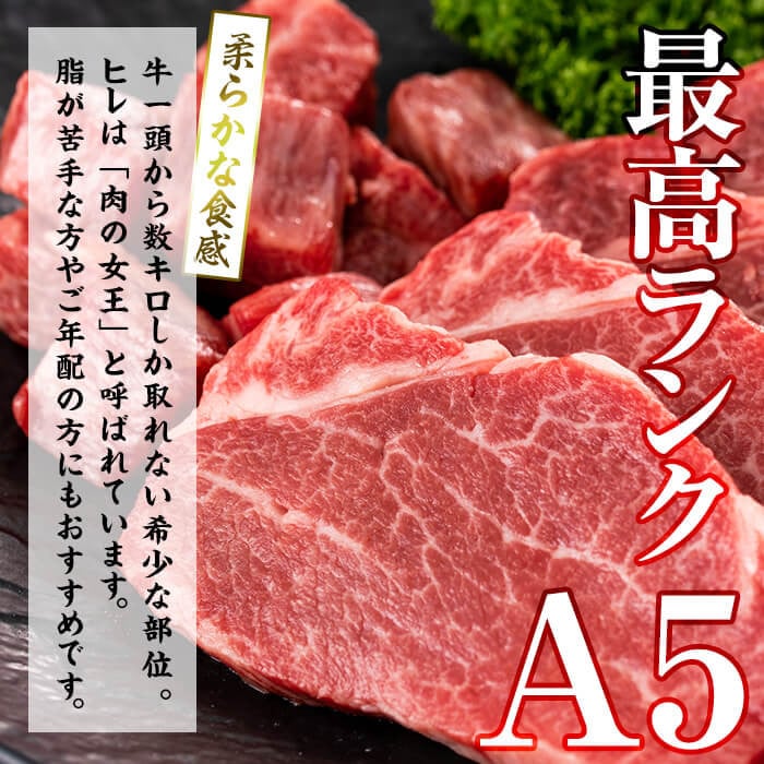 【小分け】＜A5等級＞鹿児島県産黒毛和牛 ヒレステーキ2種盛(240g×2パック/計480g) b6-023