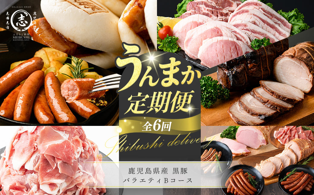 【定期便全6回】鹿児島県産 黒豚バラエティBコース！志布志うんまか定期便 豚肉 黒豚 切り落とし ウィンナー ソーセージ トンカツ トンテキ 肉まん 中華まん ハム 焼豚 国産 セット t0105-006