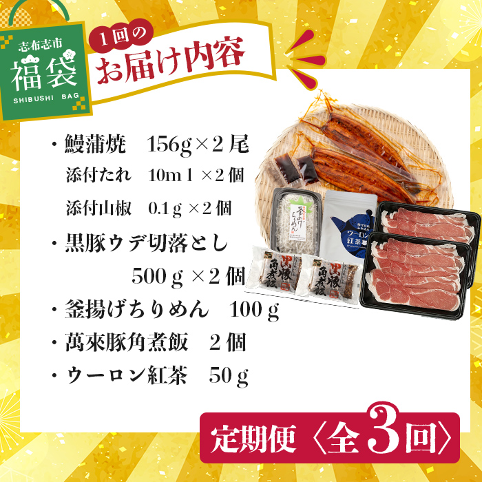 【定期便全３回】志布志市福袋！鰻とおかずいろいろセット(霧島湧水鰻2尾＆釜揚げちりめん＆黒豚ウデ切り落とし＆ウーロン紅茶＆角煮飯) t0084-015