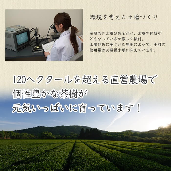 あらびき茶５袋セット a2-106