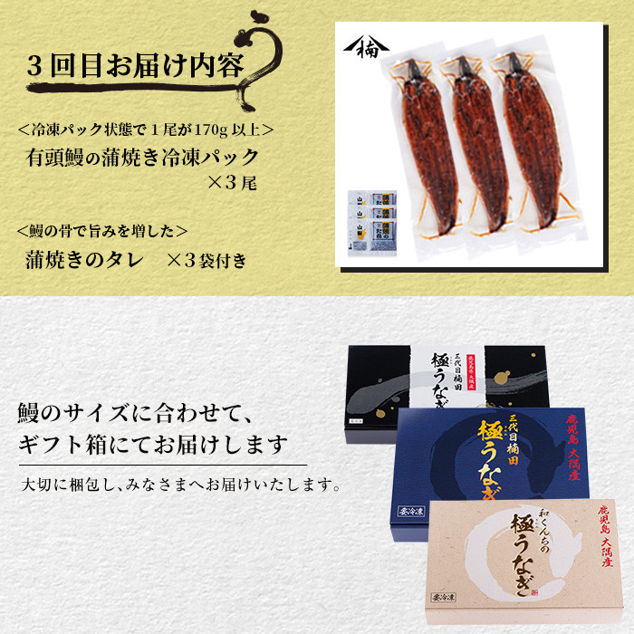 【定期便全3回】うなぎお楽しみ便！ t0047-002