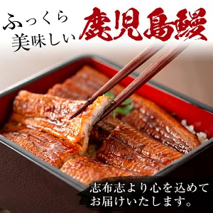 縲先焚驥城剞螳壹鷹ケソ蜈仙ウカ逵檎肇縺縺ェ縺手調辟シ 蜷肴ーエ諷磯ーサ 12蟆セ(1蟆セ邏120g莉・荳)シ懆ィ育エ1.6kg莉・荳奇シ f2-003