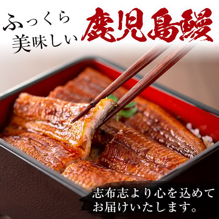 鮖ソ蜈仙ウカ逵檎肇縺縺ェ縺手調辟シ 蜷肴ーエ諷磯ーサ 6蟆セシ懆ィ840g莉・荳奇シ c3-024