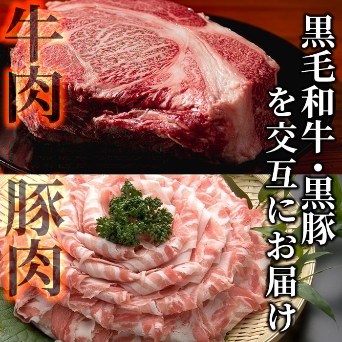 【定期便全6回】黒毛和牛・黒豚を交互にお届け！＜志布志牛・豚 満足定期コース＞計6.3kg超！定期便 牛肉 豚肉 サーロイン スライス 切り落とし 黒豚 ロース 豚ロース 豚バラ しゃぶしゃぶ すき焼き 焼肉 国産 t0100-027