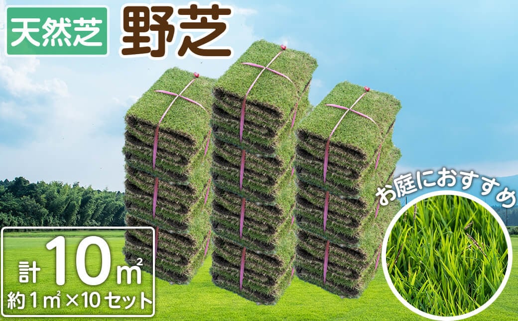 天然芝＜野芝＞10平米! c5-030