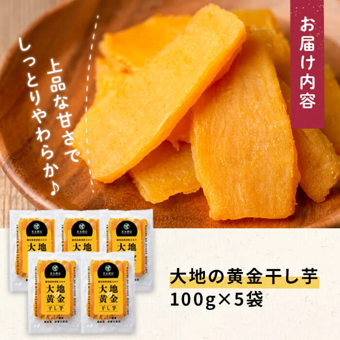 大地の黄金干し芋 計500g(100g×5袋)　干し芋 ほしいも 干しいも さつまいも さつま芋 紅はるか スイーツ スウィーツ おかし お菓子 おやつ 国産 九州産 鹿児島県産 小分け ランキング 人気 常温 常温保存 p7-039