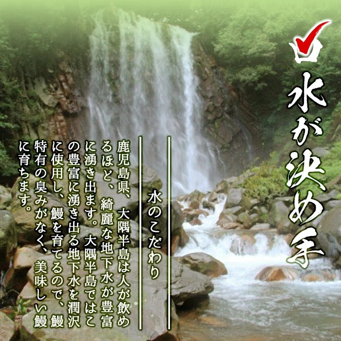 【数量限定】チンする♪霧島湧水鰻重セット 2食入 620g(蒲焼半身＋味付けご飯 [計310g×2食]) a1-049