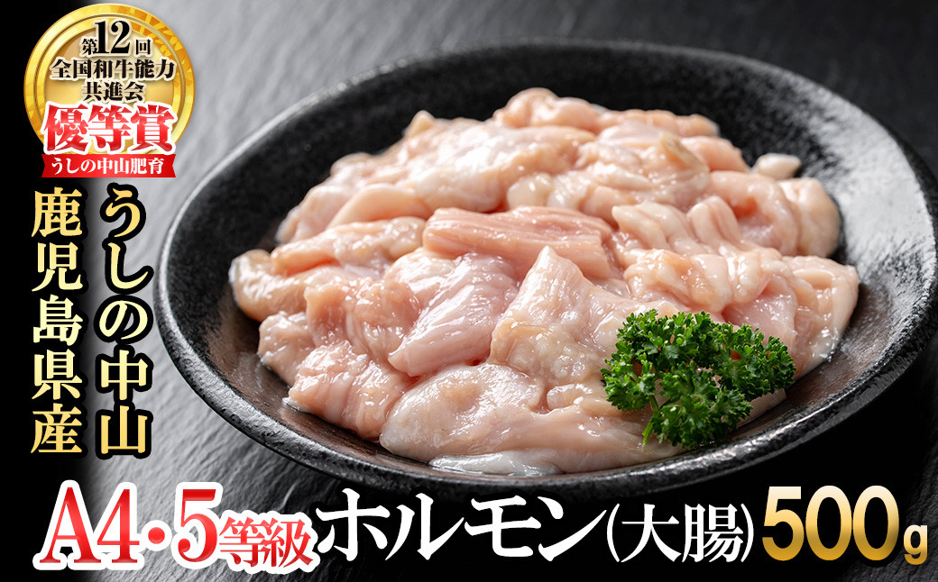 うしの中山 ホルモン(大腸)500g(500g×1袋) p9-028