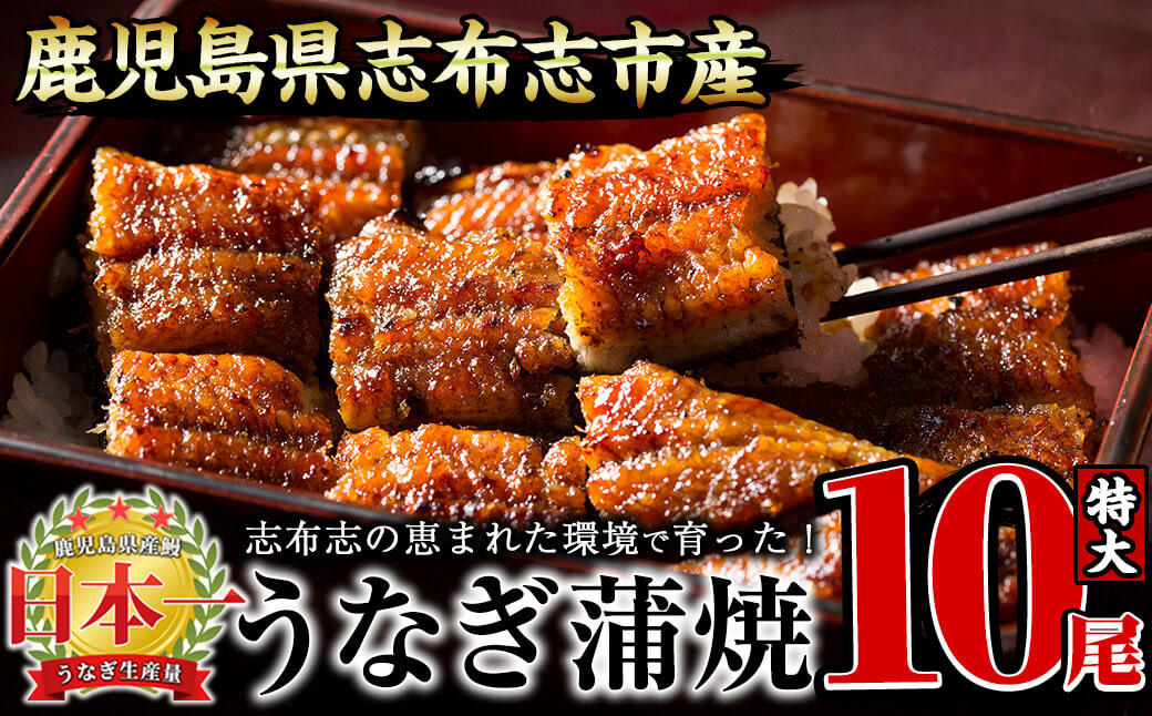 うなぎの大楠＜特大＞10尾セット計1.7kg(170g×10) g4-017