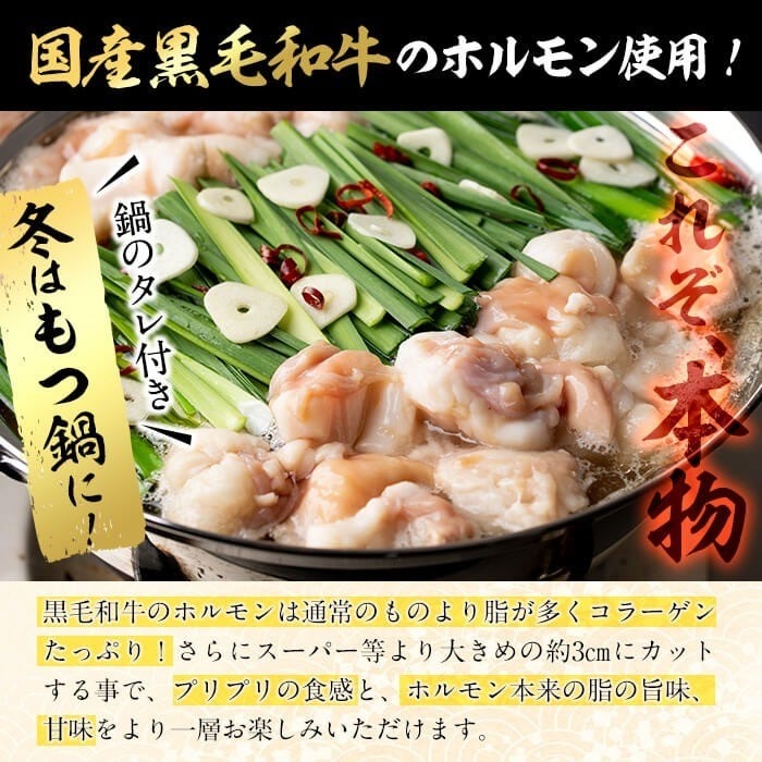 国産黒毛和牛ホルモン もつ鍋セット(10～15人前) a7-028