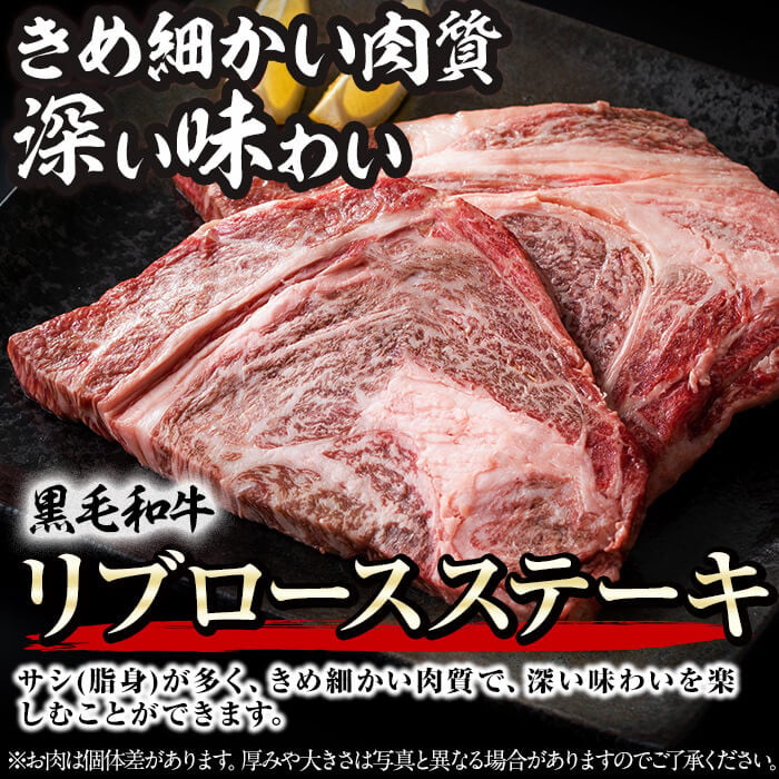 黒毛和牛ステーキ肉高級部位2種＜リブロース・サーロイン＞食べ比べ(計900g) b8-045