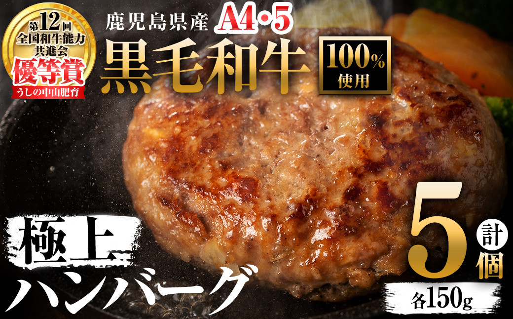 ＜A4・A5等級＞鹿児島県産 黒毛和牛100%使用 極上ハンバーグ(計750g/150g×5個) a2-086