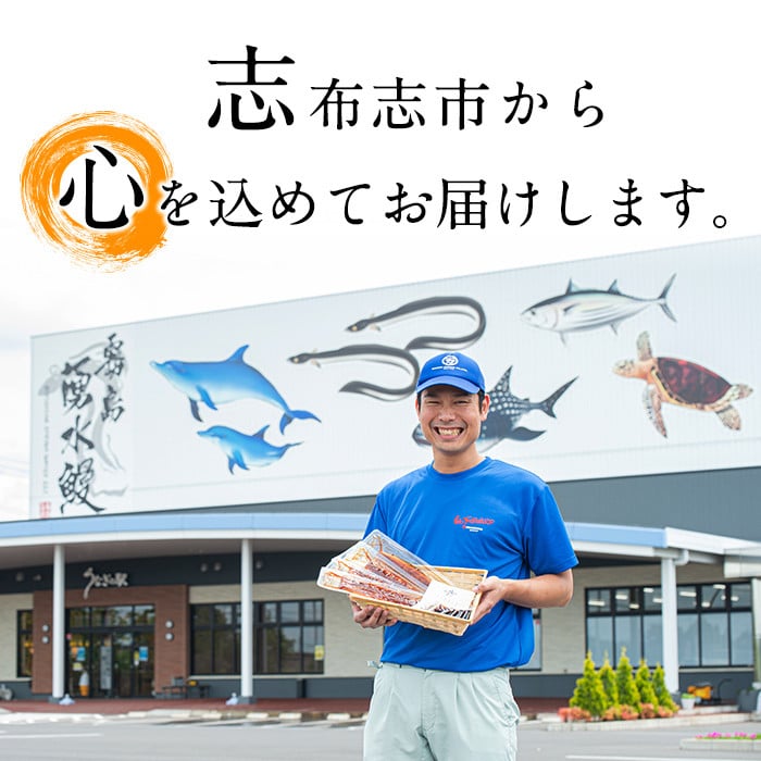 【数量限定】レンジで簡単！甘辛イカカツ＜計2kg＞ イカ いか 魚 魚介 フライ イカフライ 揚げ物 おかず おつまみ 惣菜 レンジ 温めるだけ 簡単 お弁当 甘辛 a1-028
