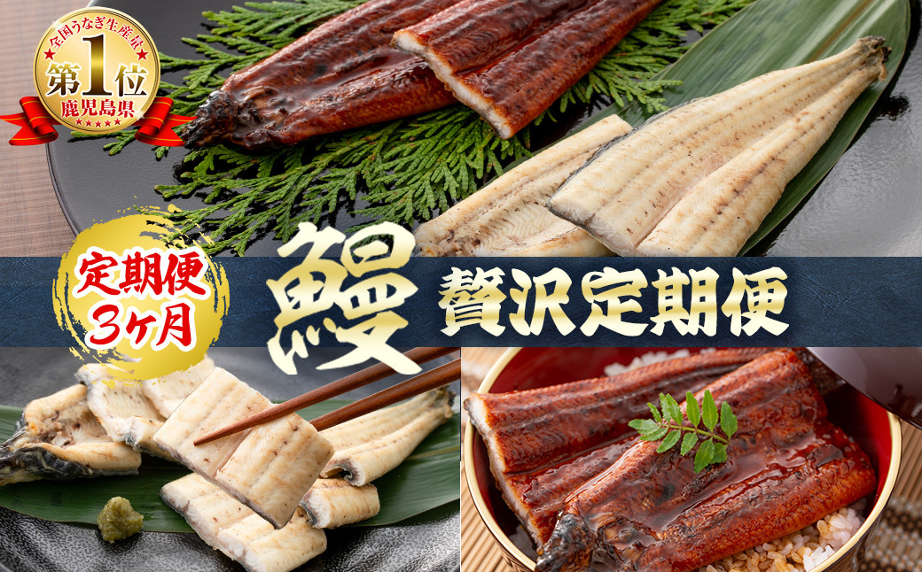 【定期便全3回】蒲焼きと白焼きが楽しめる贅沢定期便！ t0066-001