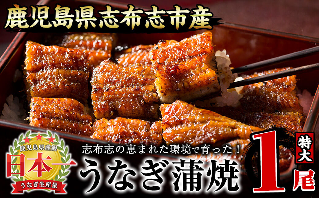うなぎの大楠＜特大＞1尾170g a1-104