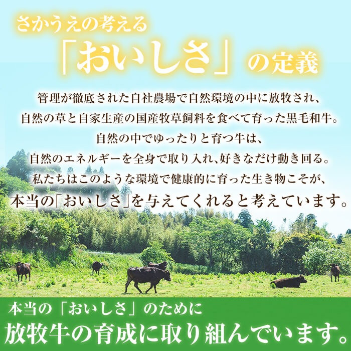 【定期便全3回】志布志市福袋！鰻とお肉のおかず(名水慈鰻2尾＆里山牛ハンバーグ4個＆黒豚MEGUMIウインナー2P＆お茶セット 総計約3kg) t0084-010