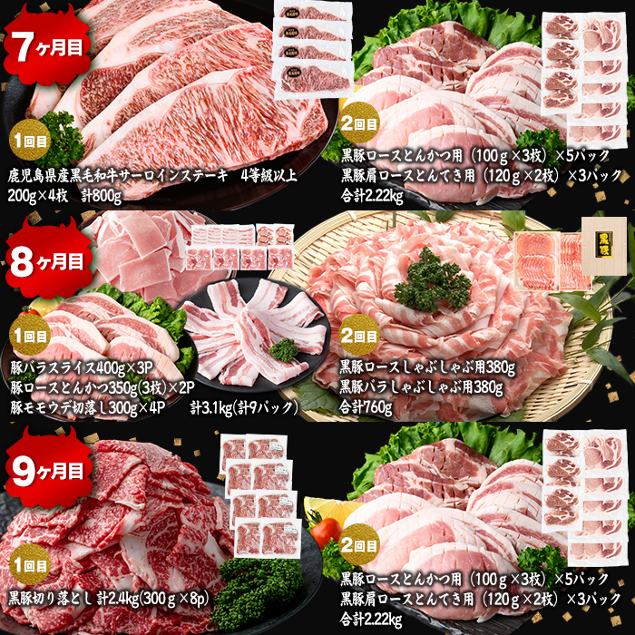【定期便11ヶ月】ししまる定期便S(11ヶ月連続 月1〜2回お届け！・計44.06kg) 黒毛和牛 黒豚 国産牛 九州産 豚 豚肉 肉 牛肉 国産 4等級 小分け 真空包装 冷凍 t0383-001