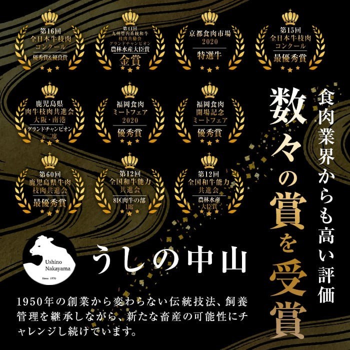 【定期便全3回】＜A4・A5等級＞鹿児島県産黒毛和牛100%使用 極上手ごねハンバーグ 計4.5kg(150g×10個・全3回) 黒毛和牛 和牛 ハンバーグ 冷凍ハンバーグ 牛肉 国産 九州産 ミンチ 小分け A4 A5 日本一 t0045-017