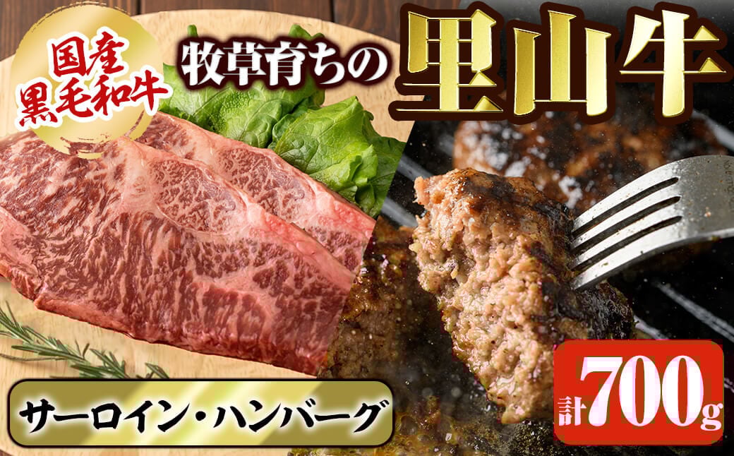 国産黒毛和牛 牧草育ちの里山牛 サーロインステーキ＆手作りハンバーグセット 計700g b1-016