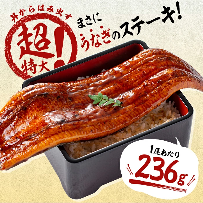 【数量限定】超特大！鹿児島県産 山田水産の霧島湧水鰻(計1400g以上・236g以上×6尾) うなぎ 鰻 ウナギ 6尾 国産 九州産 蒲焼き かばやき 冷凍 うな重 ひつまぶし タレ 山椒 ランキング 人気 c5-039-yy