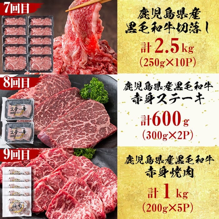 【定期便・全12回】＜A5等級＞鹿児島県産黒毛和牛＆国産牛タン プレミアム！牛肉満喫コース＜計12kg超＞ t026-001