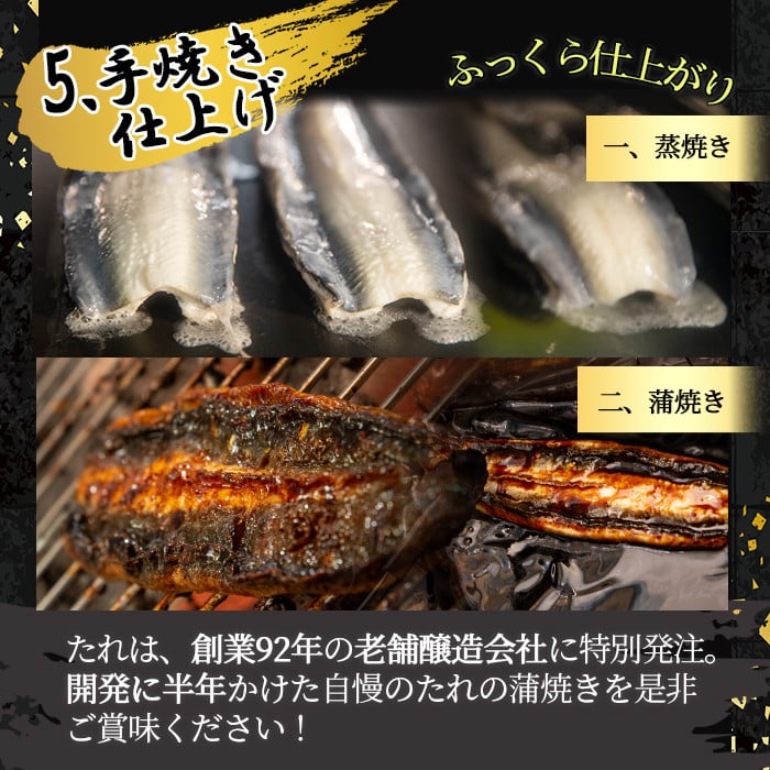 æ¡æé€é°»ã®ããã¿ããªãèš300g(ããã¿ããªã50g(ããªã40gïŒãã10g)Ã6P) a2-079