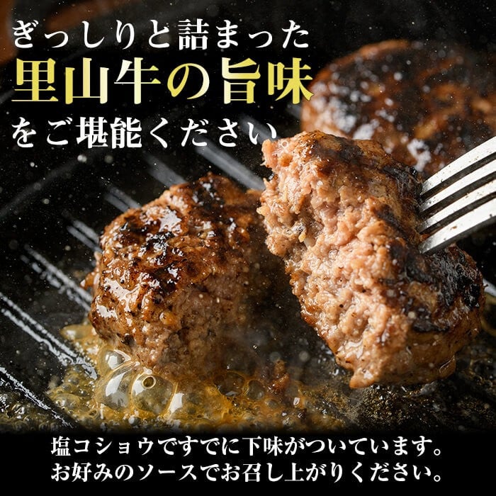 里山牛ハンバーグ＆きざみうなぎセット (総計680g以上) うなぎ 鰻 ウナギ 蒲焼き 真空パック うな丼 鰻重 牛 牛肉 鹿児島県産 国産 ハンバーグ 100% b0-188