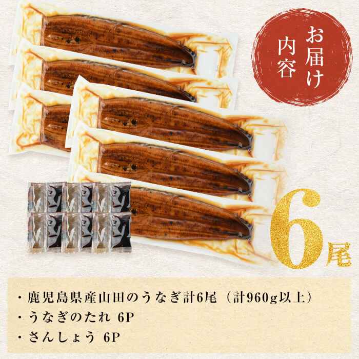 【無薬養鰻】 鹿児島産 山田のうなぎ ＜計960g以上＞ (160g以上×6尾) うなぎ 鰻 ウナギ 無薬 養鰻 無投薬 6尾 国産 九州産 蒲焼き かばやき 冷凍 うな重 ひつまぶし タレ 山椒 c2-014