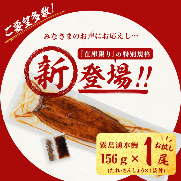 【志布志市人気No.1お礼の品】霧島湧水鰻の蒲焼き 1尾 ＜156g以上×1尾＞ p58-001