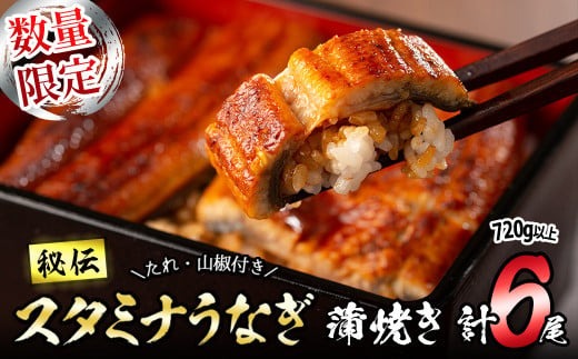 【数量限定】鹿児島県産！秘伝のスタミナうなぎ蒲焼き＜計6尾・計720g以上＞ c9-008