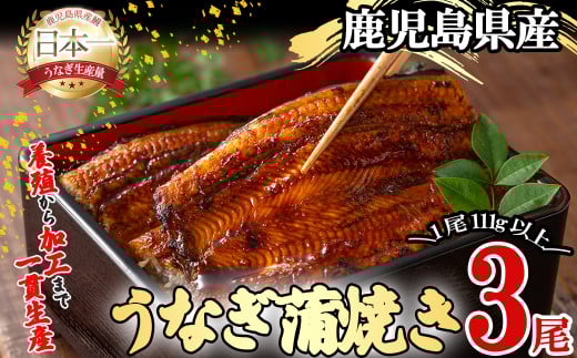 桜林養鰻のうなぎ蒲焼 計333g以上(111g以上×3尾) b0-175