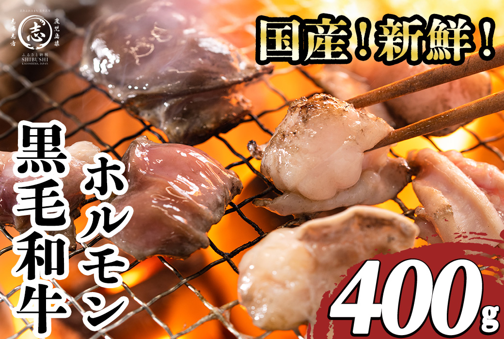 国産黒毛和牛ホルモン 焼肉用 (400g) p9-043