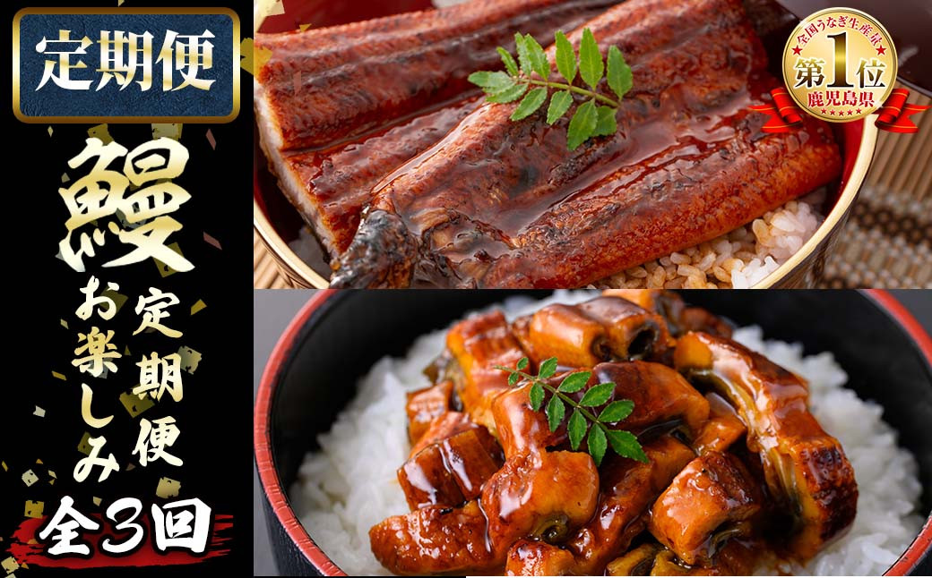 【定期便全3回】うなぎお楽しみ便！ t0047-002