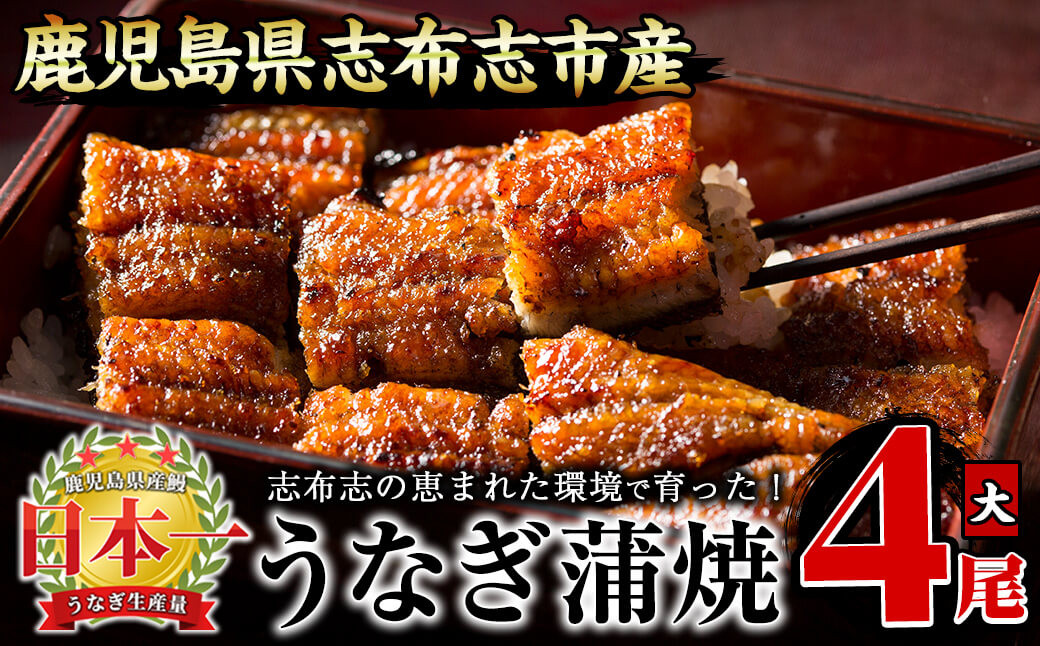 うなぎの大楠＜大＞4尾セット計600g(150g×4) b8-026